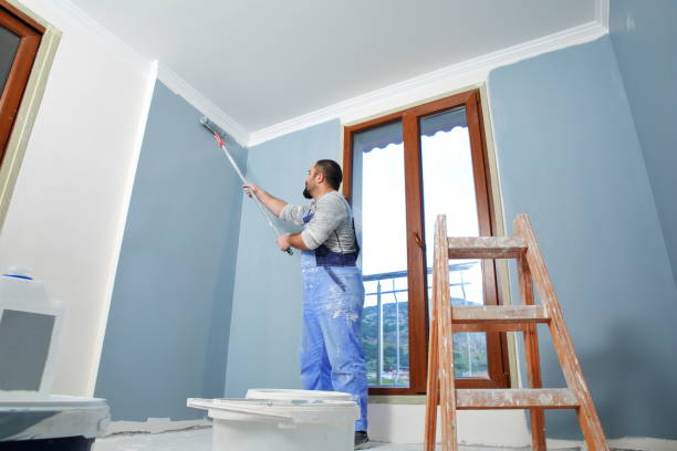 Best Environmental Consulting for Mold Prevention  in Rohnert Park, CA