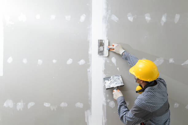 Best Comprehensive Air Testing for Mold Contaminants  in Rohnert Park, CA