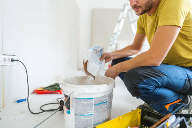 Reliable Rohnert Park, CA Mold Removal Solutions